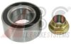  200199 Wheel Bearing Kit